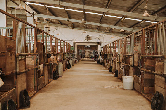 Rodillo industrial del cablecarril del plátano de la granja para el equipo de transporte fácil